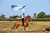 Standard-bearer at the harvest festival in Bačka (Photo: Dragan Bosnić)